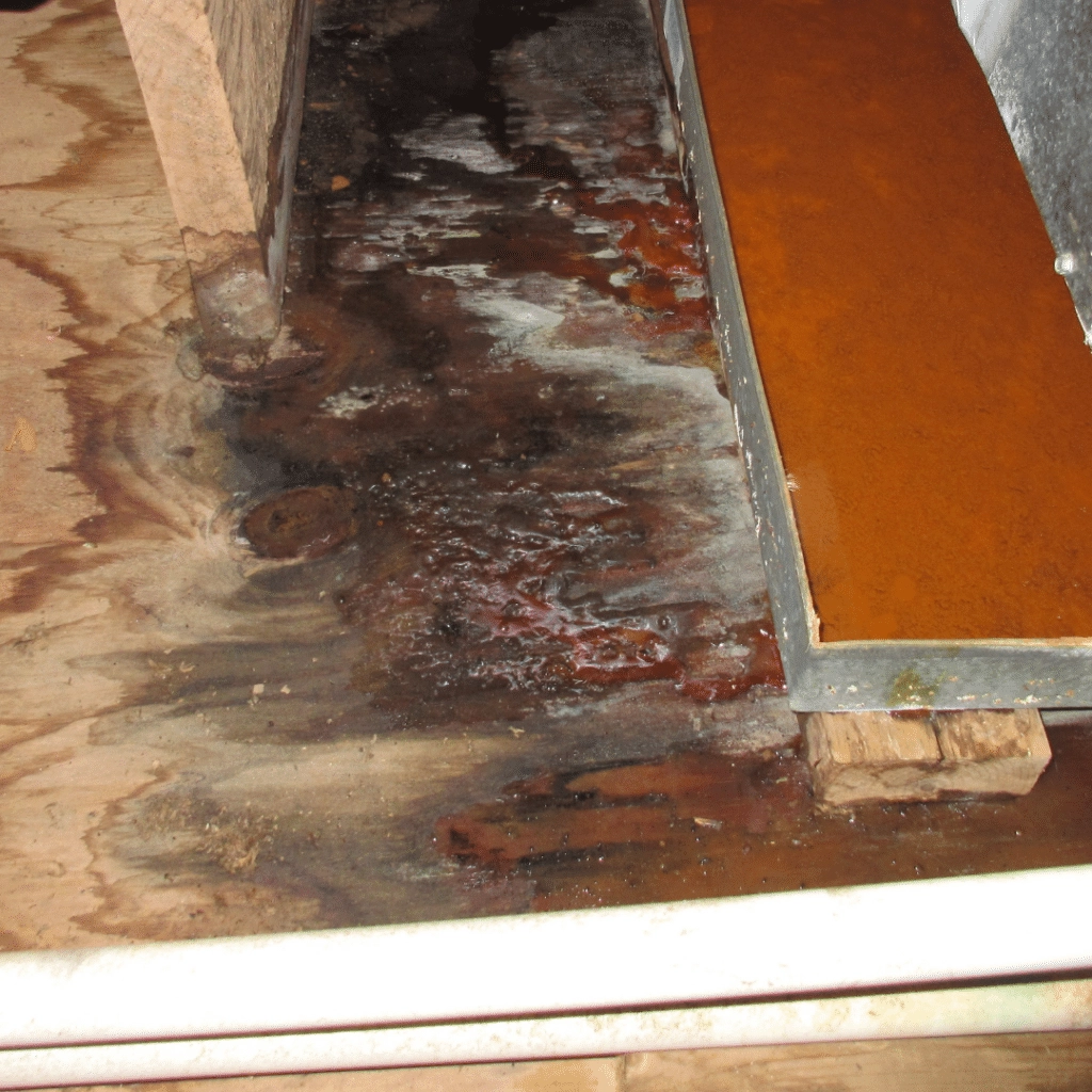 extensive water damage on a wooden subfloor, with significant dark staining, pooling water, and rusty discoloration