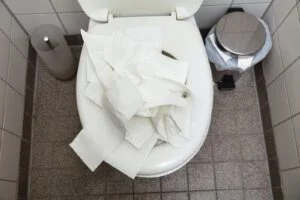 A top-down view of a toilet bowl filled with crumpled white paper